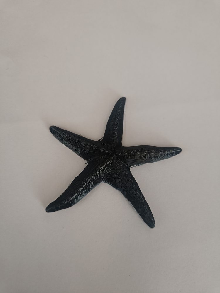 3D printed decorative starfish Pune